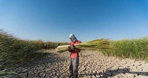 گلستان | کشاورزان چالش جدی آبی برای کشاورزان گلستان
