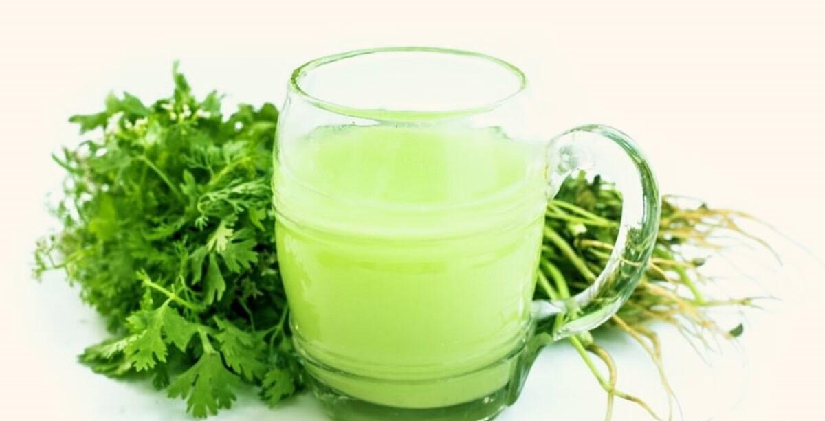 چگونه آب گشنیز به رشد مو و بهبود کیفیت آن کمک میکند