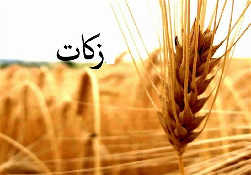 همه زکاتها در همان منطقه هزینه میشود