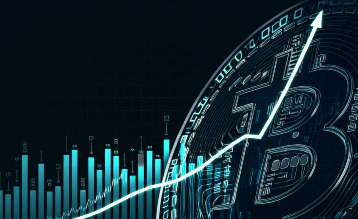 بهترین ارز دیجیتال برای هولد در سال 2024 | راهنمای کامل