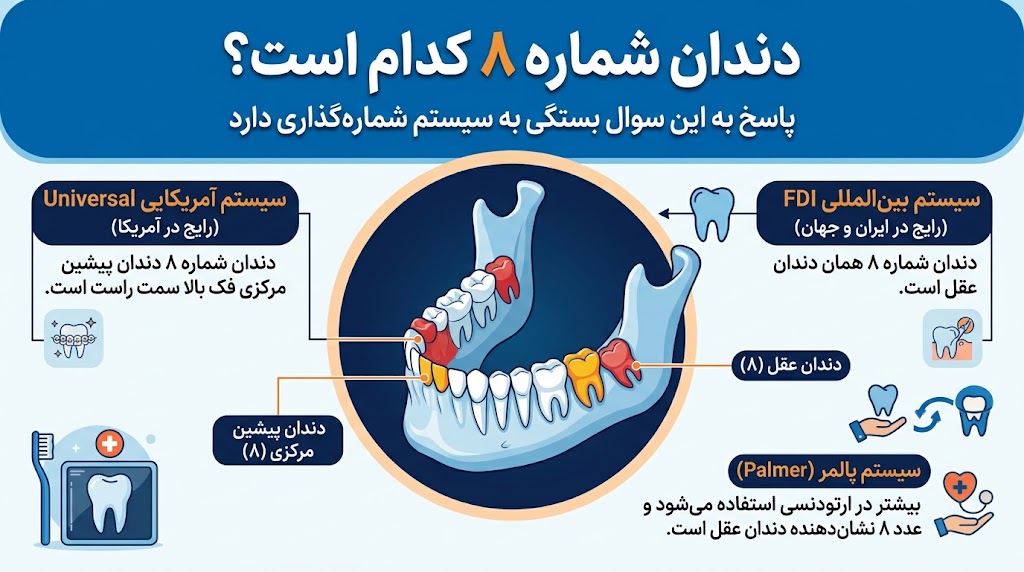 دندان شماره ۸ کدام است